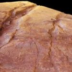 Nili Fossae