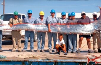 Сельдяной король или Рыба Судного Дня сельдяной король